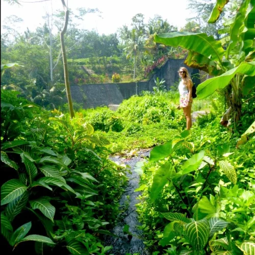 jenny_vegetarian_voyage_indonesia_bahli