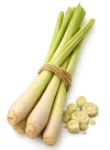 lemongrass