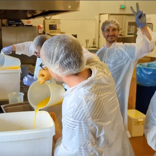 monkey_mood_mister_jamu_conception